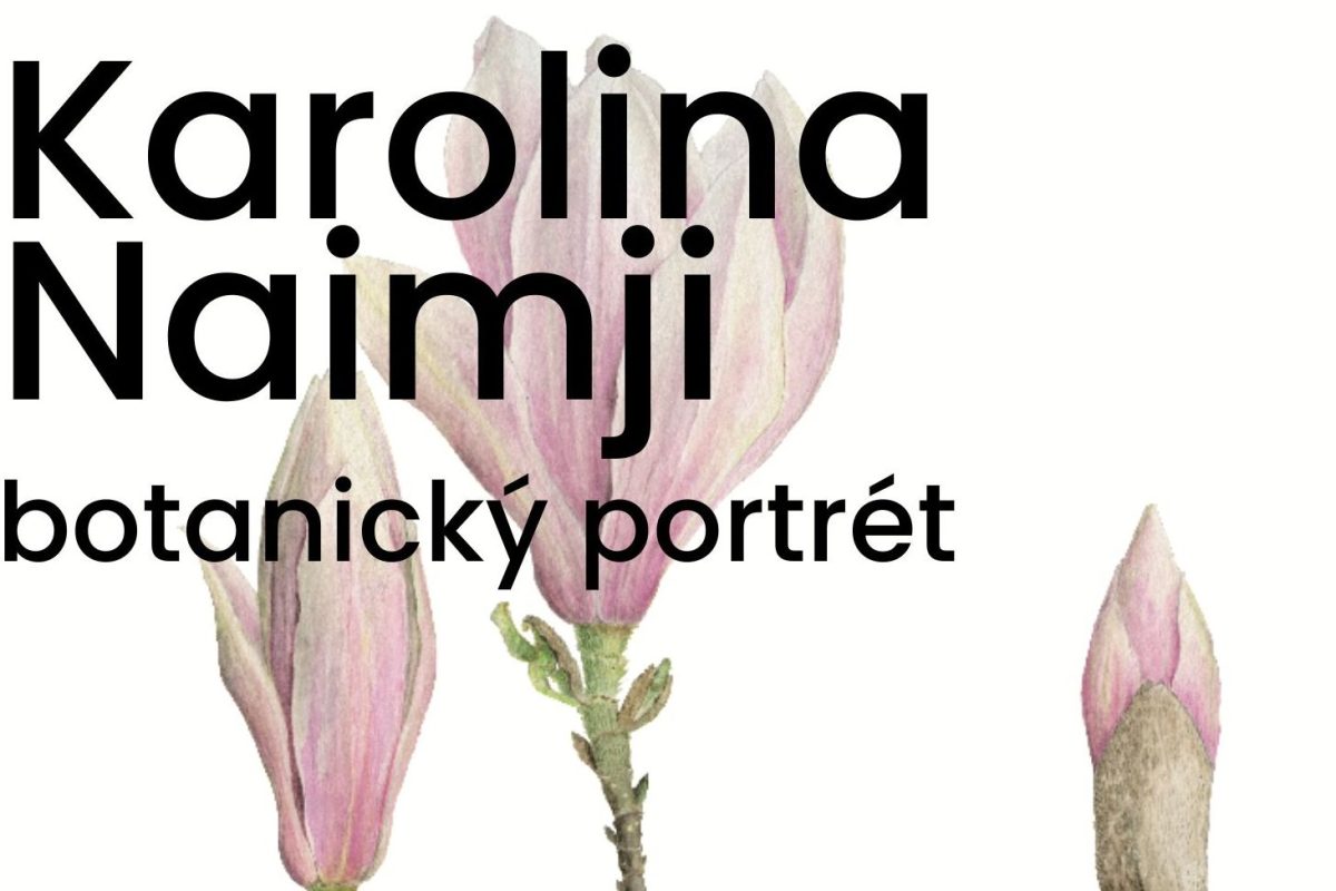 Výstava v knihovně: Botanický portrét