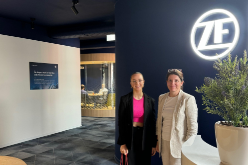 Stínování ve společnosti ZF Group